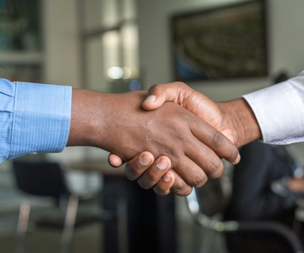 Two Person in Long-sleeved Shirt Shakehand